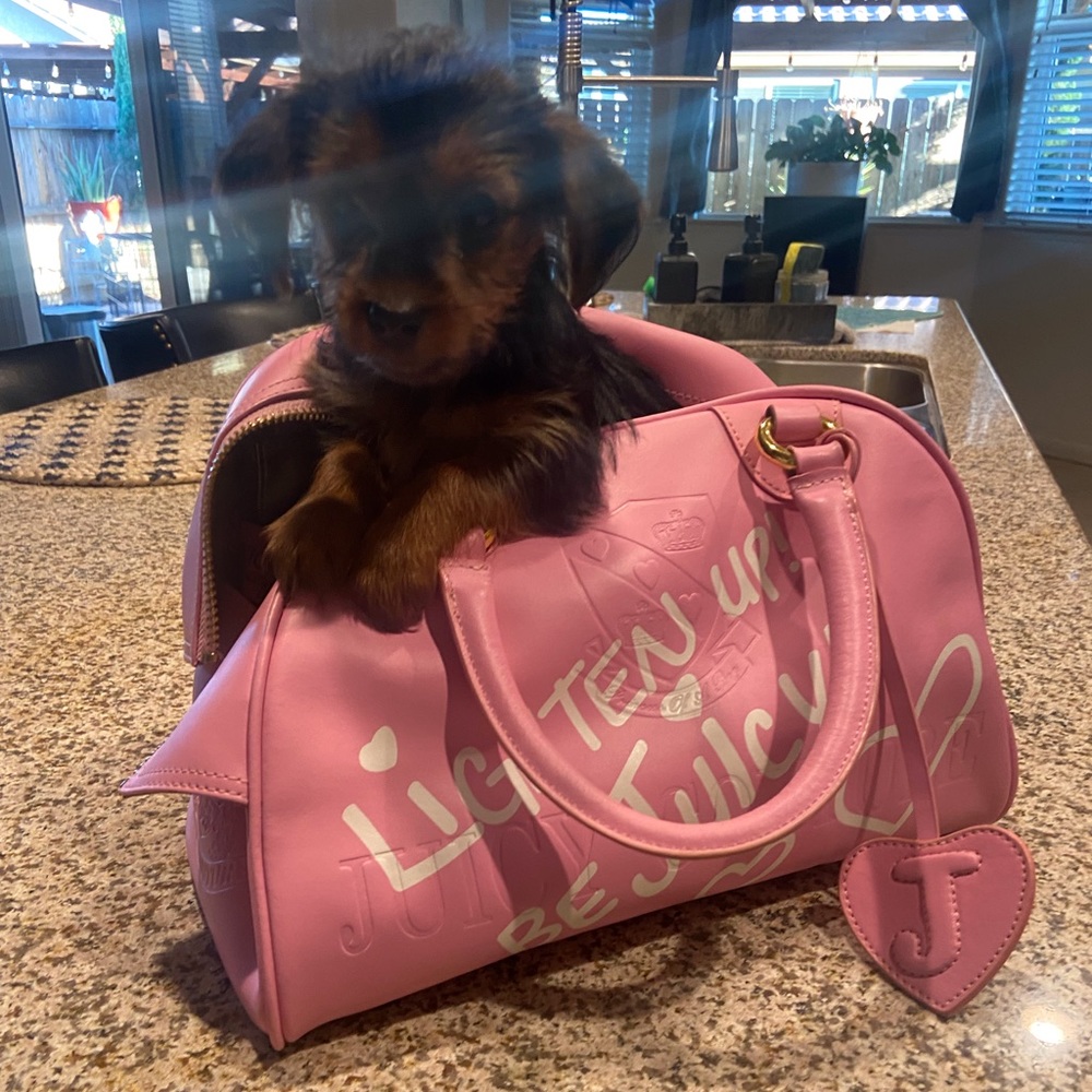 Meet your Posher, Pink